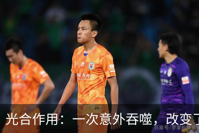 光合作用：一次意外吞噬，改变了整个地球