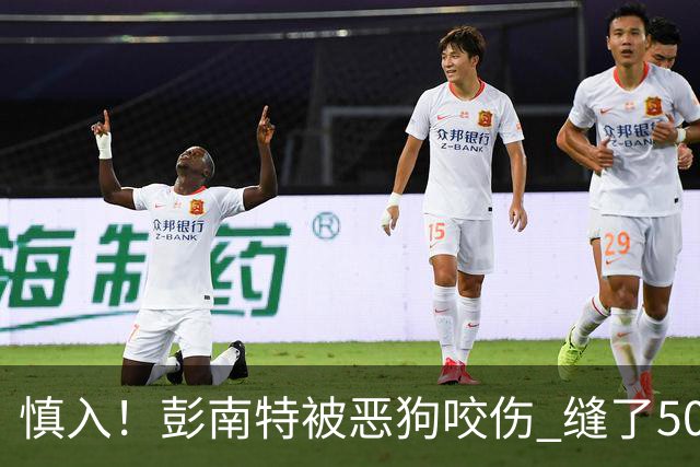 慎入！彭南特被恶狗咬伤 缝了50多针，所幸他的宠物犬英勇护主
