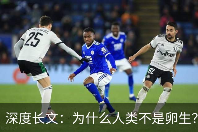 深度长文：为什么人类不是卵生？说出来你可能不信，这事3亿年前就定好了