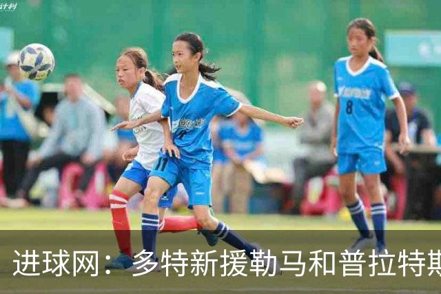 进球网：多特新援勒马和普拉特斯进展不顺，两人加盟后机会寥寥